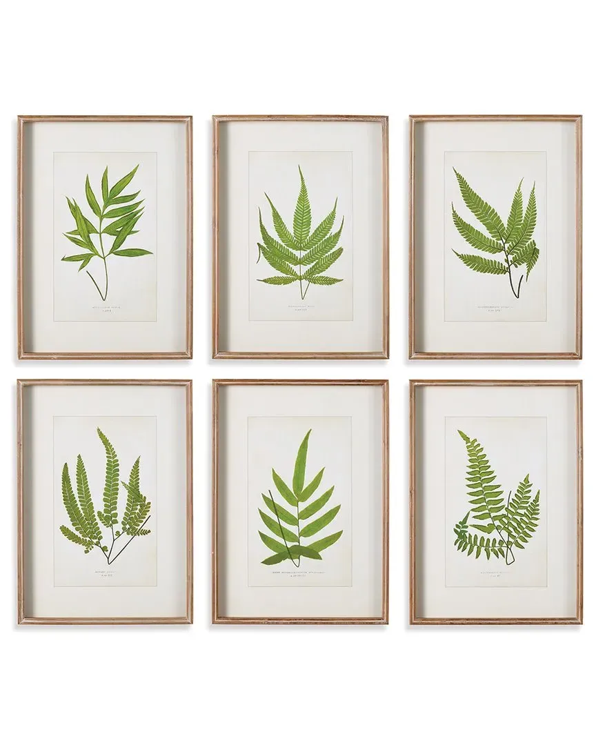 Forest Greenery Prints Set - Fir Wood image