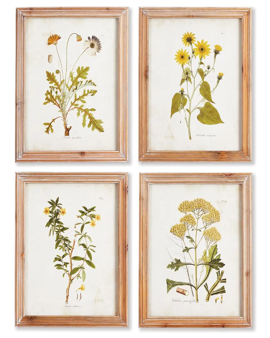 Golden Wildflower Study Set - Fir Wood image