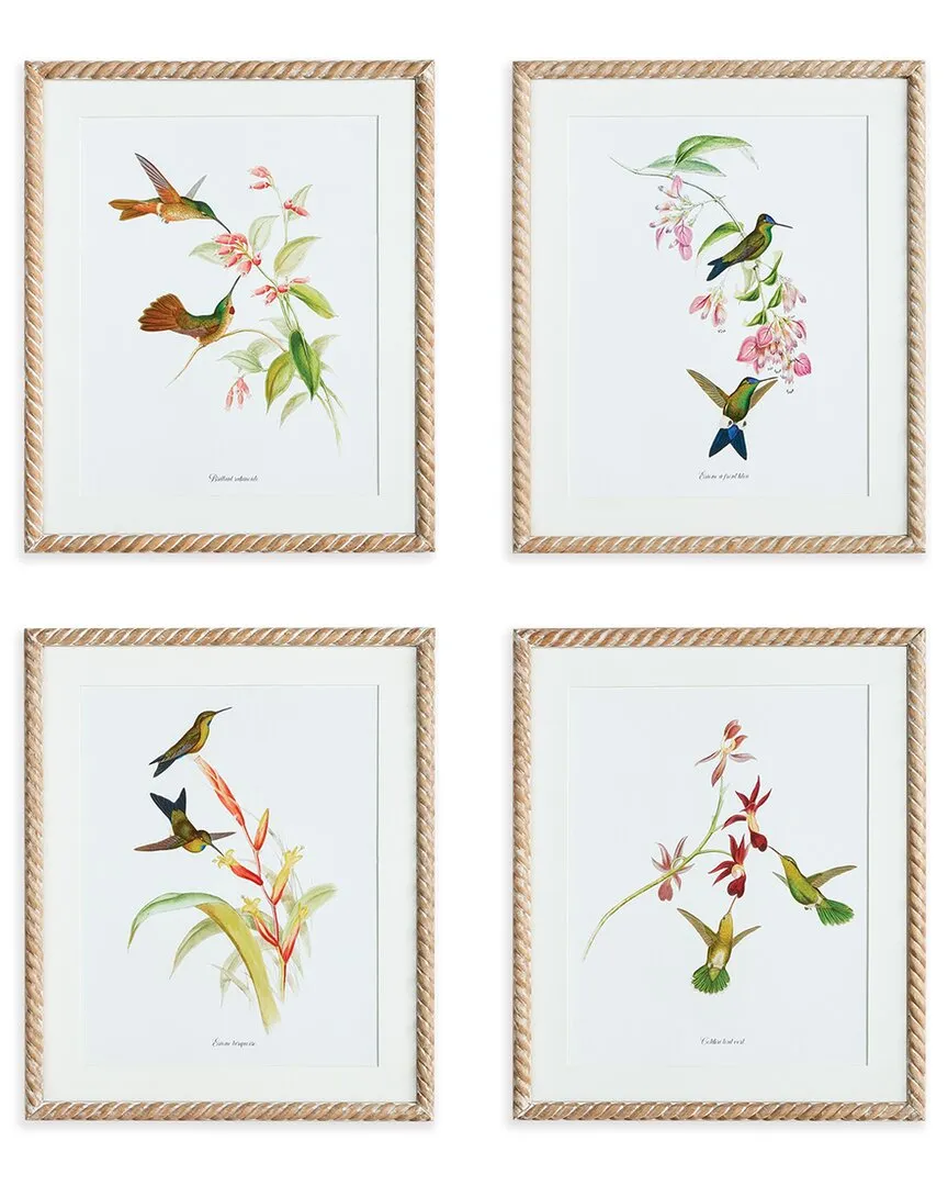 Hummingbird Prints Set - Glass, MDF image