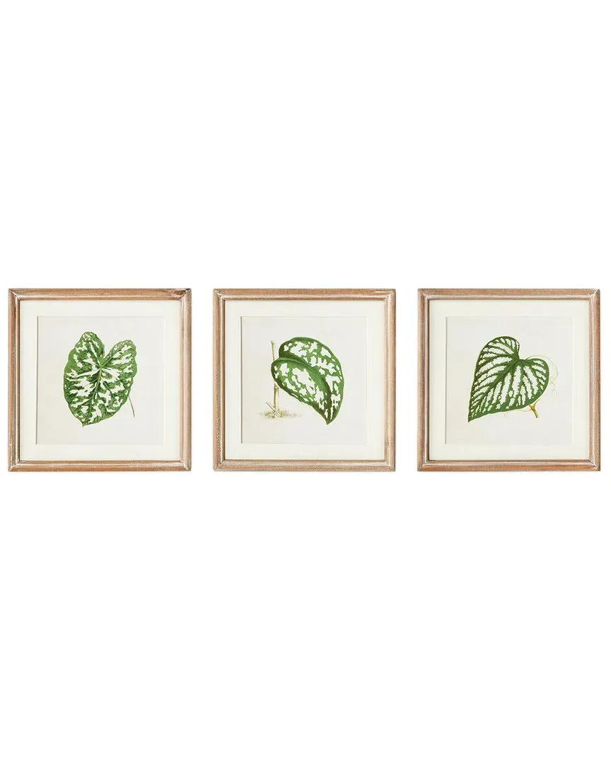 Leaf Cuttings Petite Prints Set - Glass, MDF