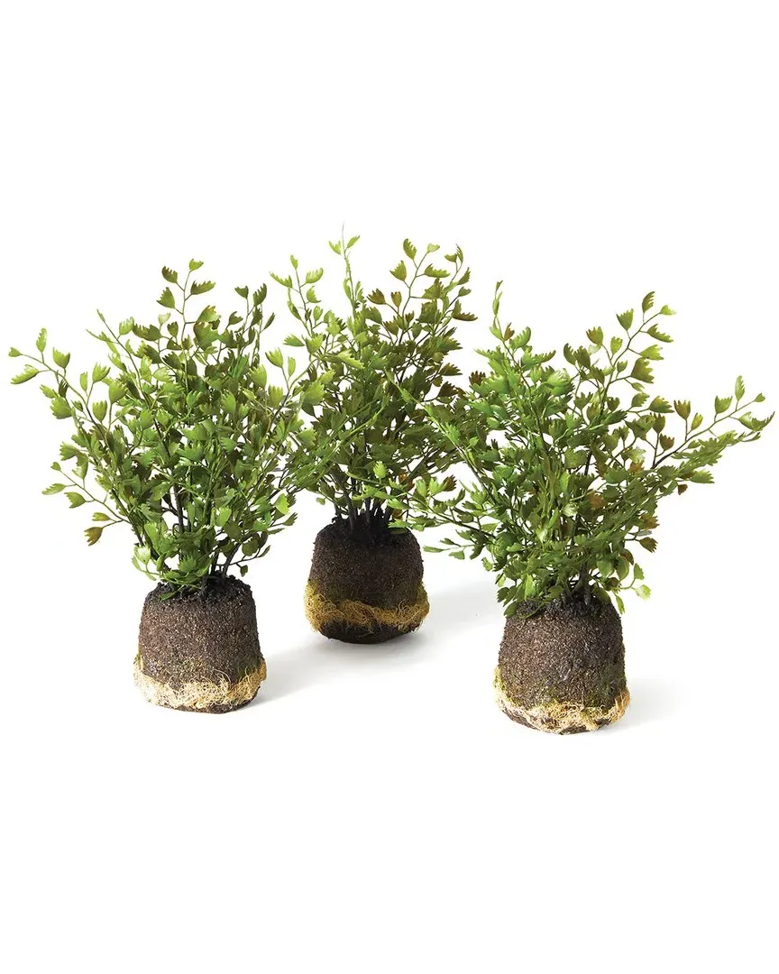 Maidenhair Drop-Ins Set of 3 - Green image