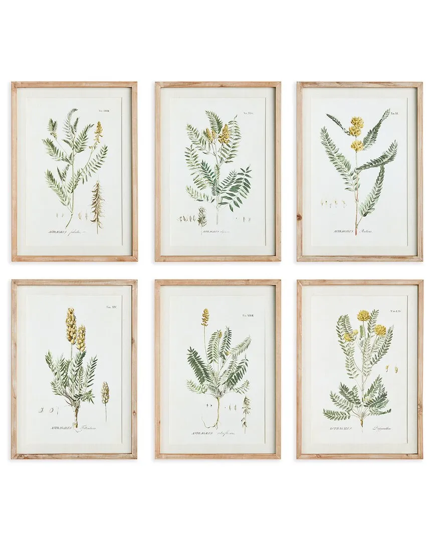 Mid-Summer Blooms Print Set - Glass, MDF image