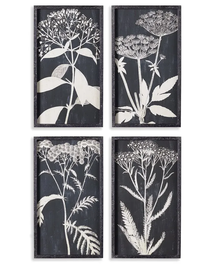Monochrome Queen Anne's Lace Print - Glass, Fir Wood