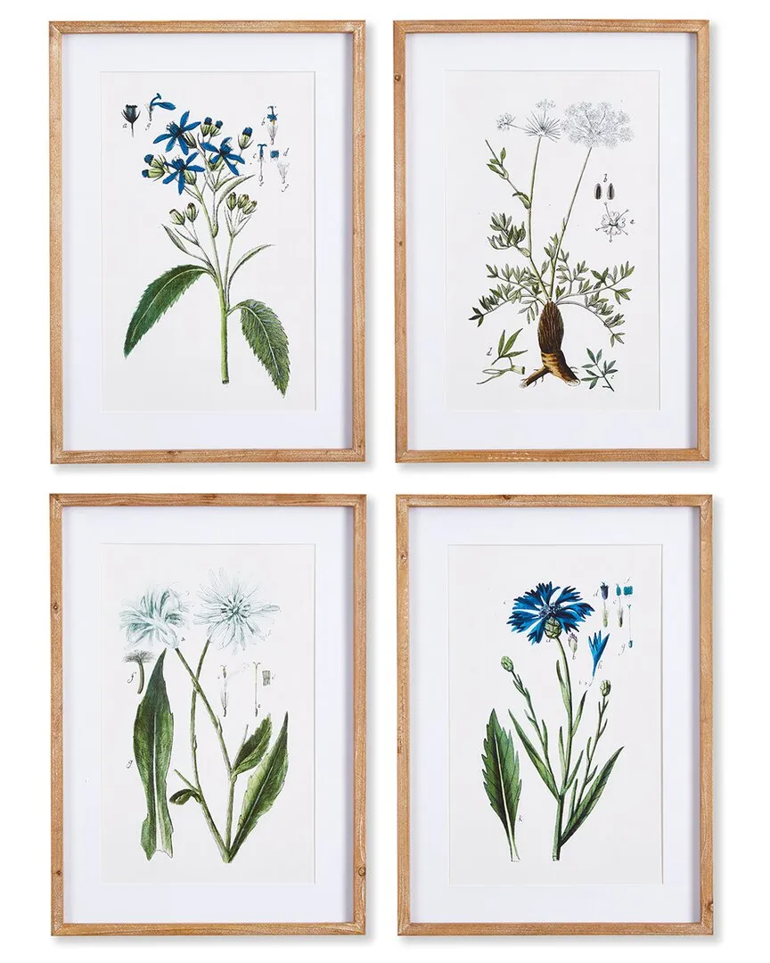 Mountain Botanical Prints Set of 4 - Glass, Fir Wood image