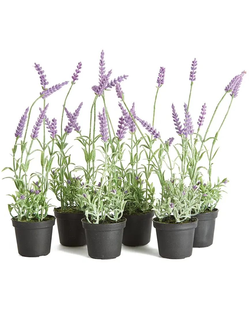 Napa Home & Garden 13in French Lavender Drop-In Set image