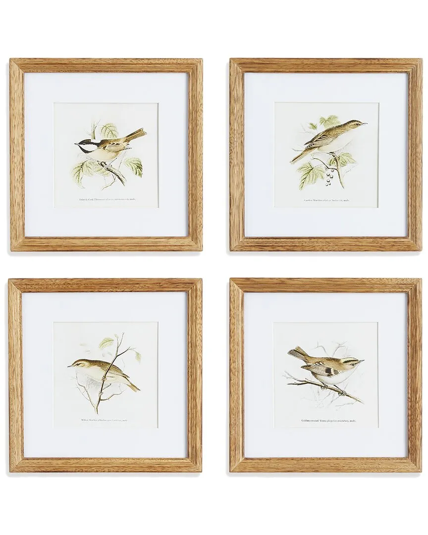 Perching Bird Study Petite Set - Fir Wood image