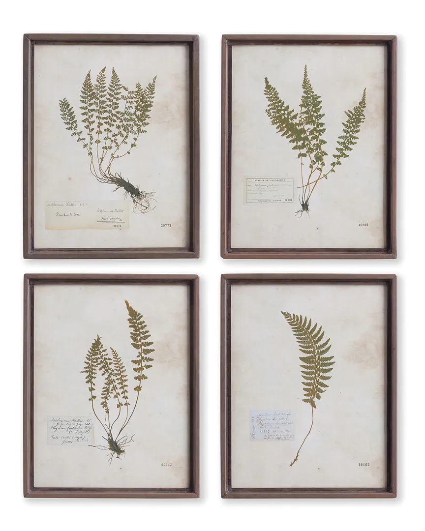 Petite Frond Prints Set of 4 - Metal Frame image