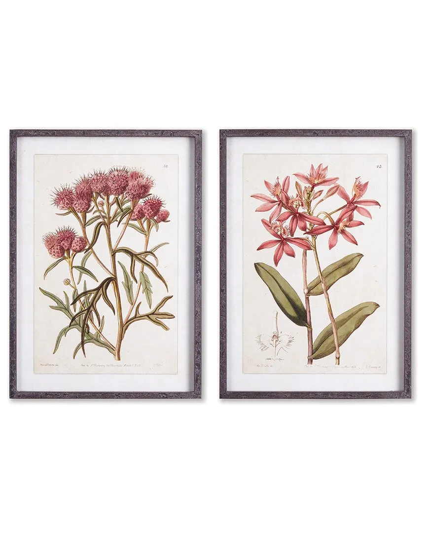 Pretty in Pink Vintage Prints Set - Fir Wood image