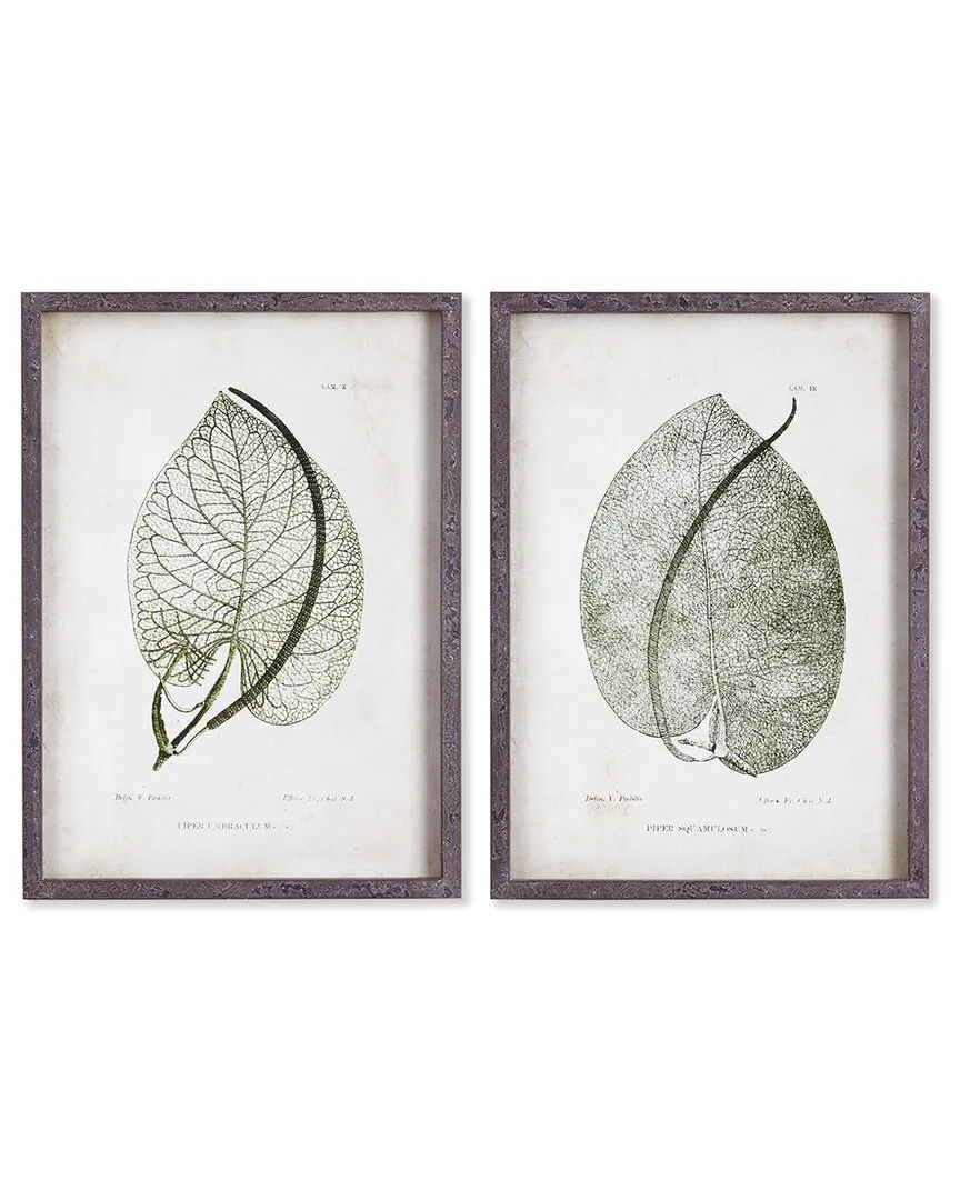 Set of 2 Cordate Leaf Study Framed Prints - Fir Wood image
