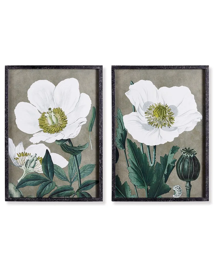 Set of 2 Poppy Prints - Fir Wood