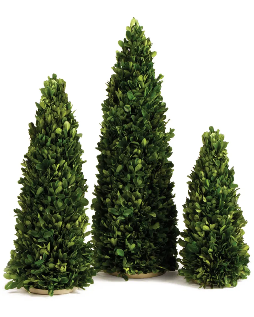 Set of 3 Boxwood Cones - Green