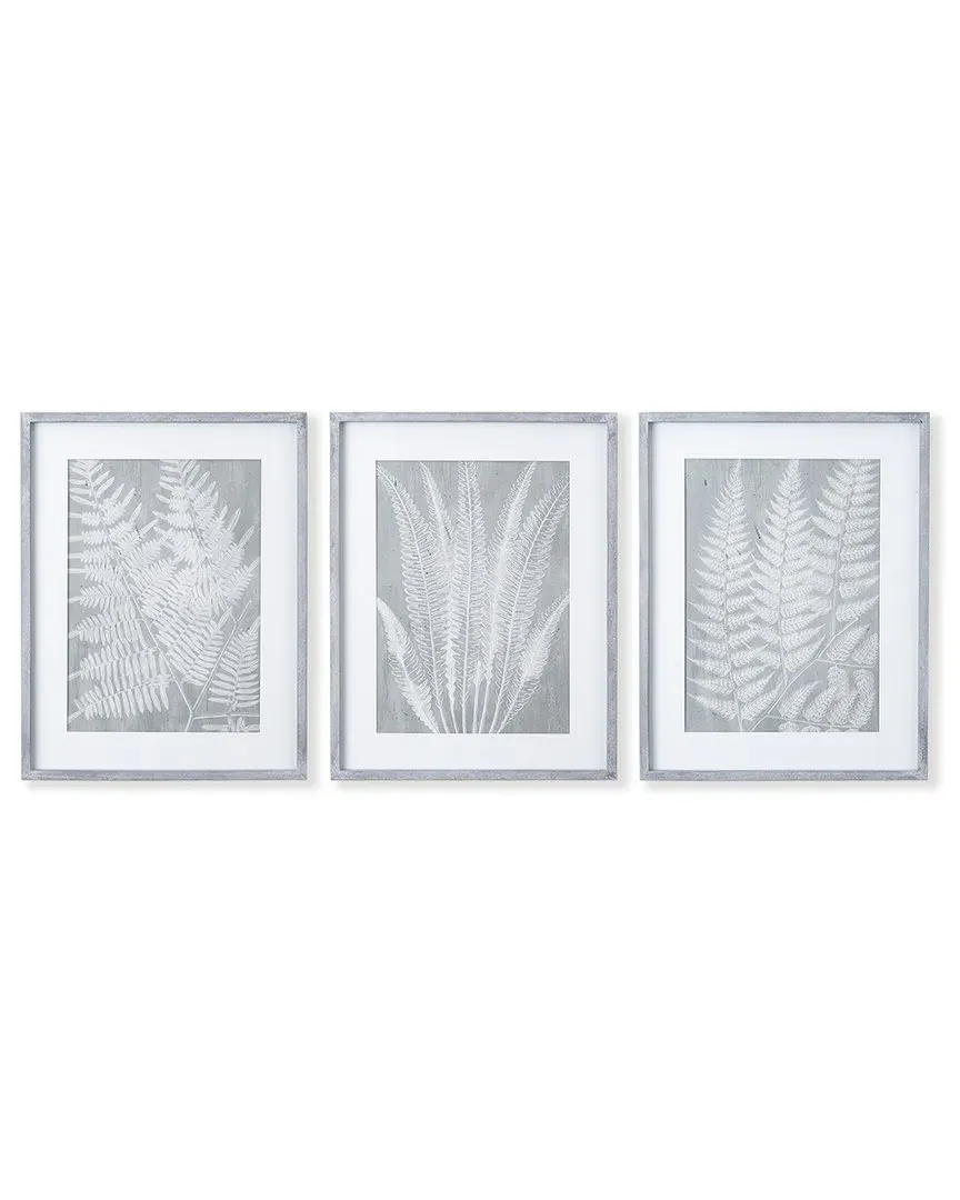 Set of 3 Fern Frond Prints - Fir Wood