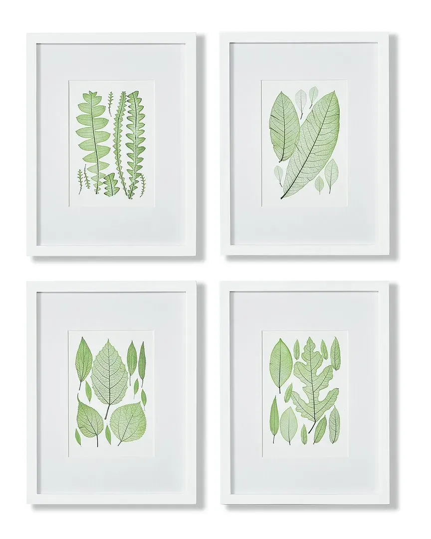 Set of 4 Assorted Leaf Prints - Green, Pine Wood image