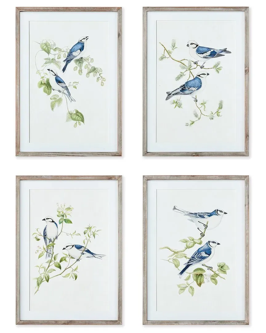 Set of 4 Blue Birds Prints - Fir Wood