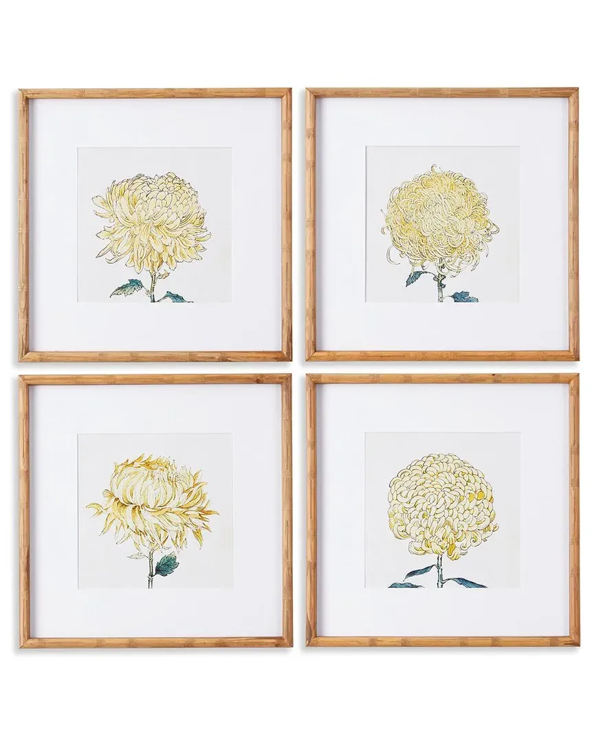Set of 4 Chrysanthemum Prints - Bamboo