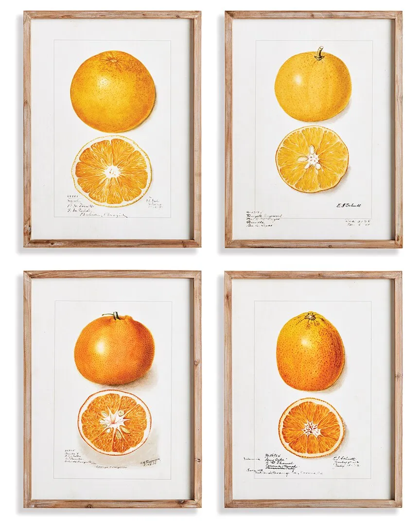 Set of 4 Citrus Study Wall Art - Fir Wood