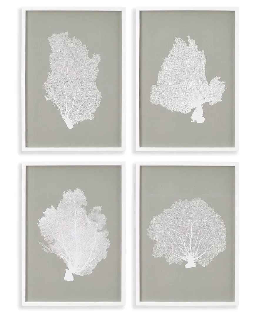 Set of 4 Coral Fans Study Prints - Fir Wood