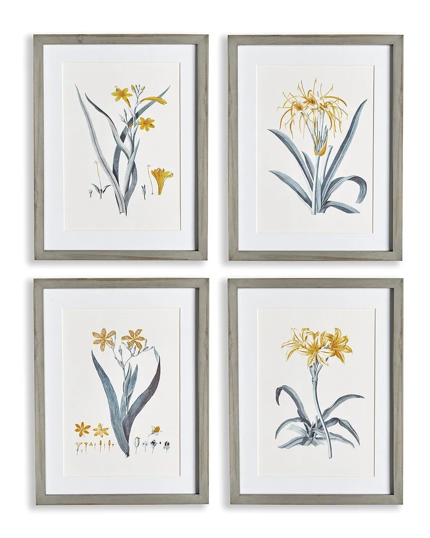 Set of 4 Daffodil Prints - Yellow, Pine Wood