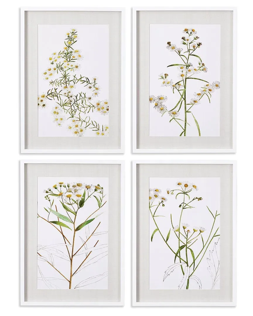 Set of 4 Daisy Prints - Fir Wood