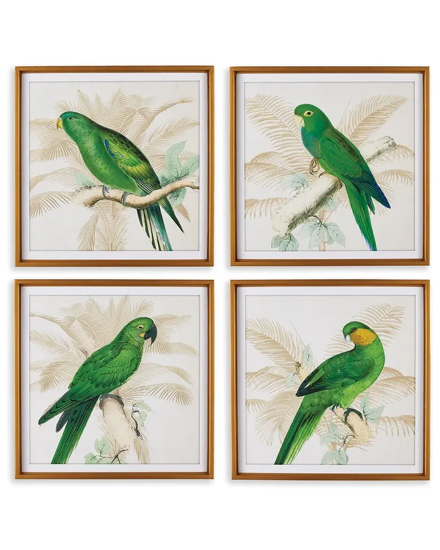 Set of 4 Green Parrots Study Wall Art - Fir Wood