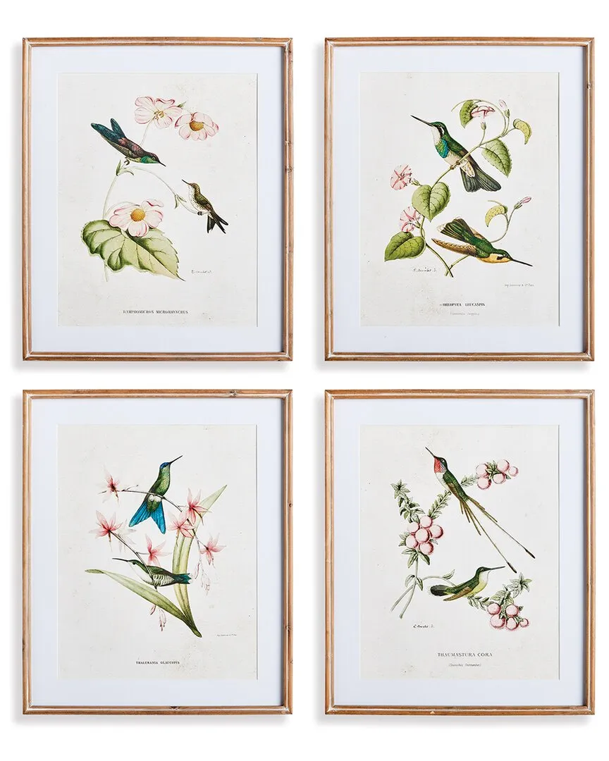 Set of 4 Hummingbirds with Blush Blooms Wall Art - Beige, Fir Wood image
