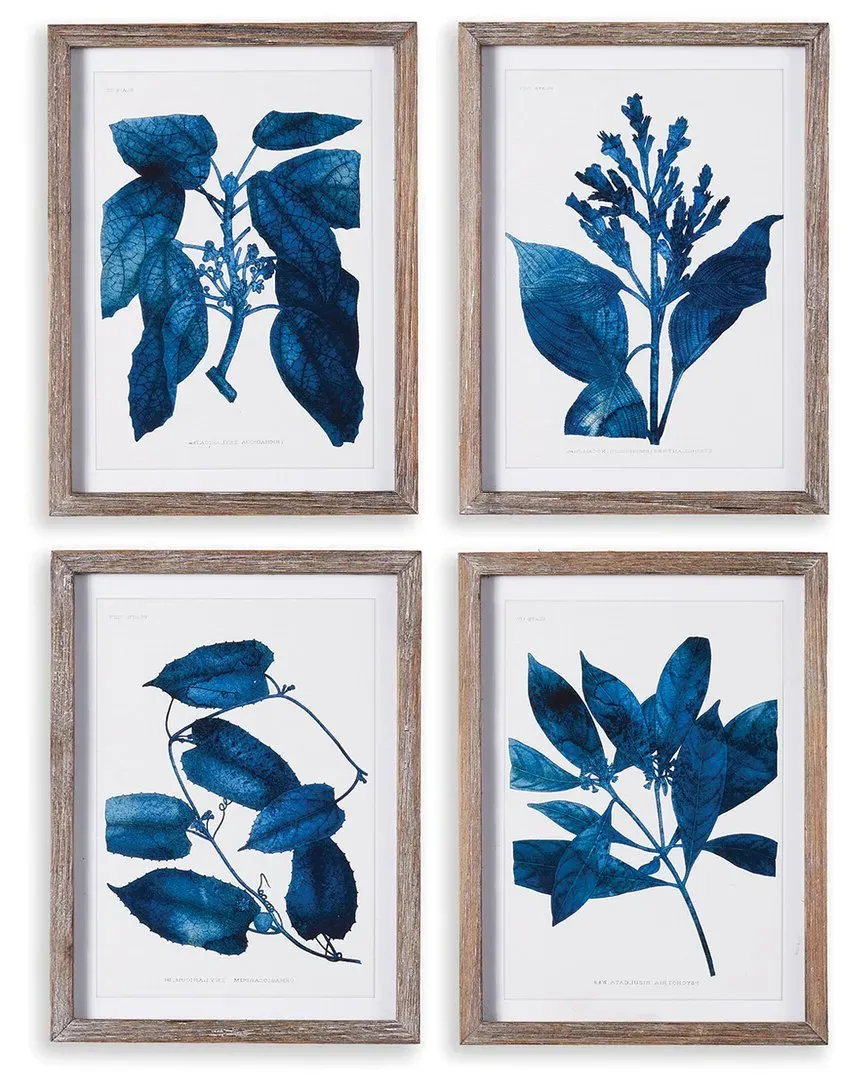 Set of 4 Indigo Botanicals Framed Prints - Fir Wood image