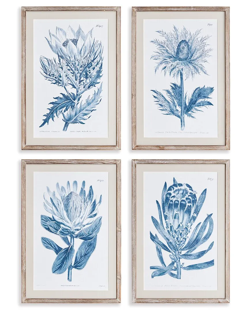 Set of 4 Indigo Protea Prints - Blue, Fir Wood
