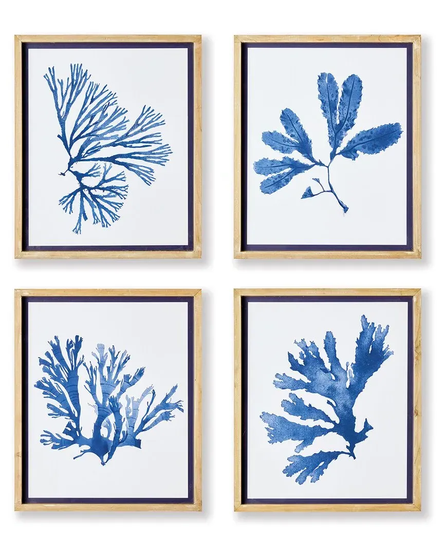 Set of 4 Indigo Seaweed Prints - Blue, Fir Wood