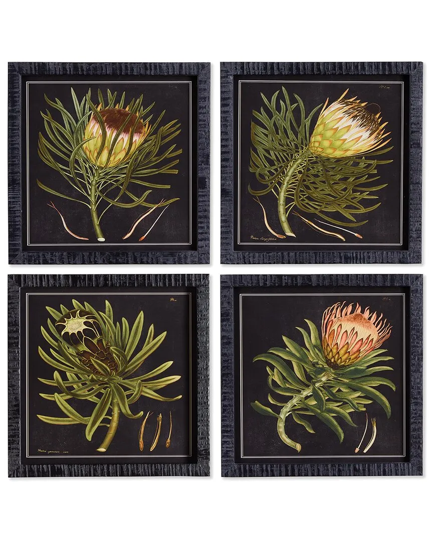 Set of 4 Protea Petite Prints - Fir Wood image