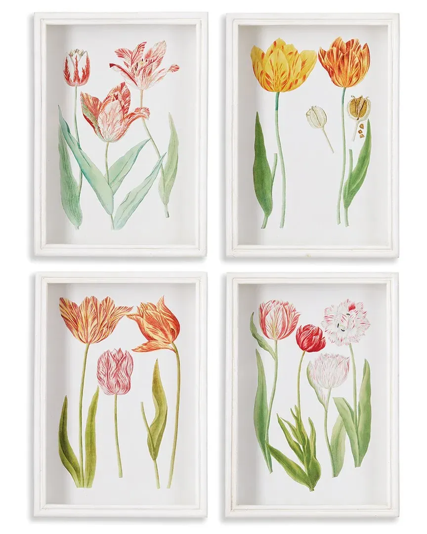 Set of 4 Tulip Prints - Fir Wood