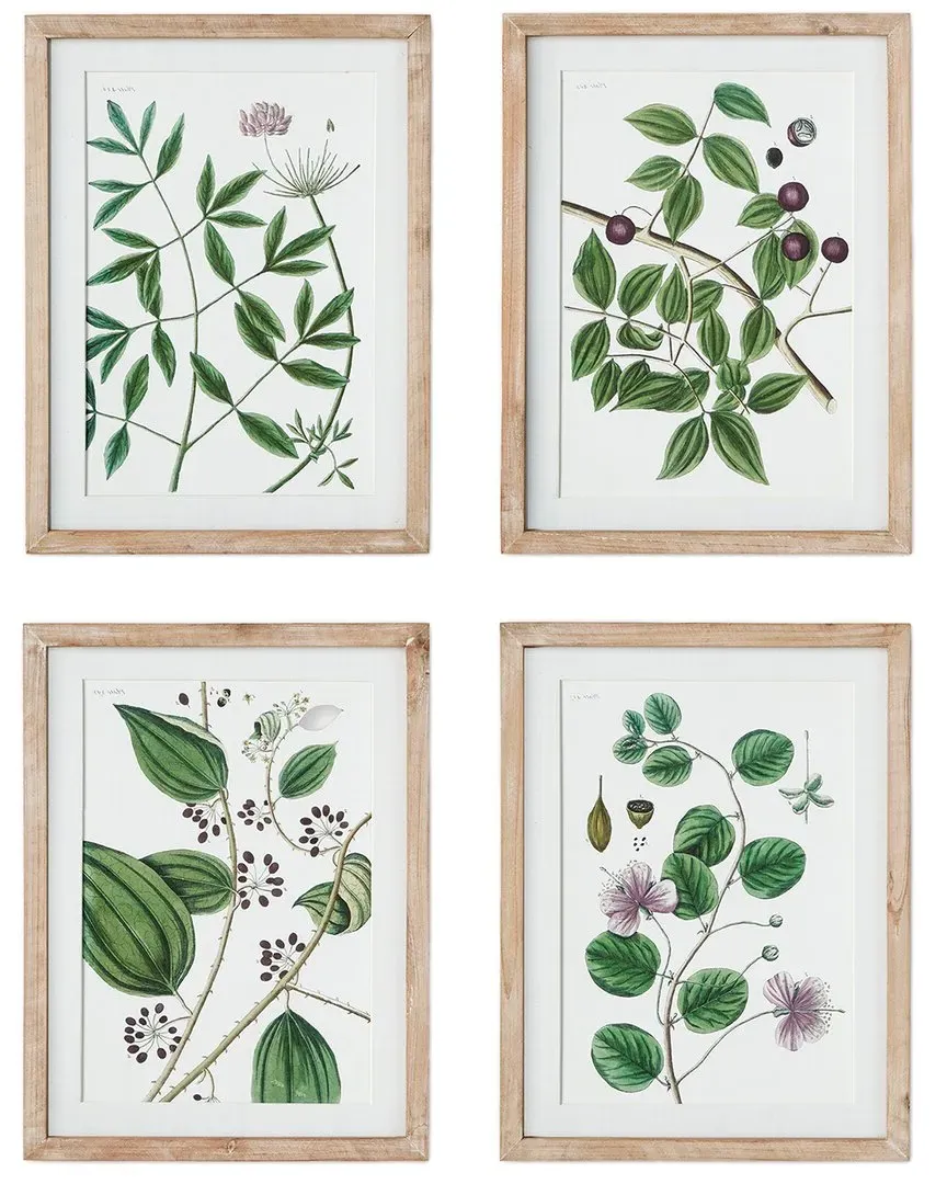 Set of 4 Verdant Branch Prints - Fir Wood