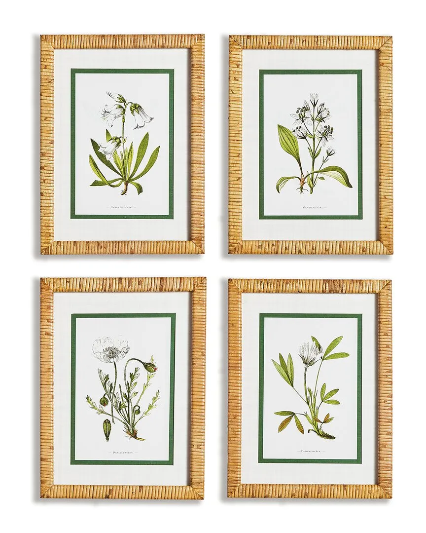 Set of 4 White Floral Study Wall Art - Pine Wood image