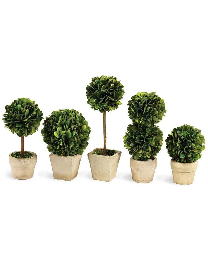 Set of 5 Mini Topiaries - Green image