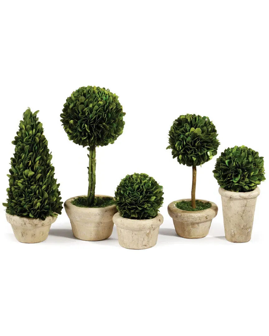 Set of 5 Topiaries Potted - Green image