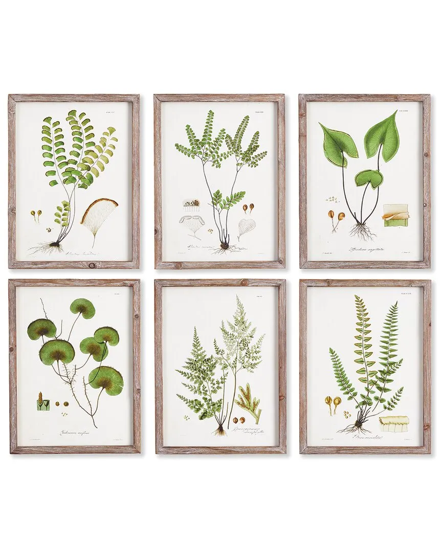 Set of 6 Shade Garden Study Framed Prints - Fir Wood image
