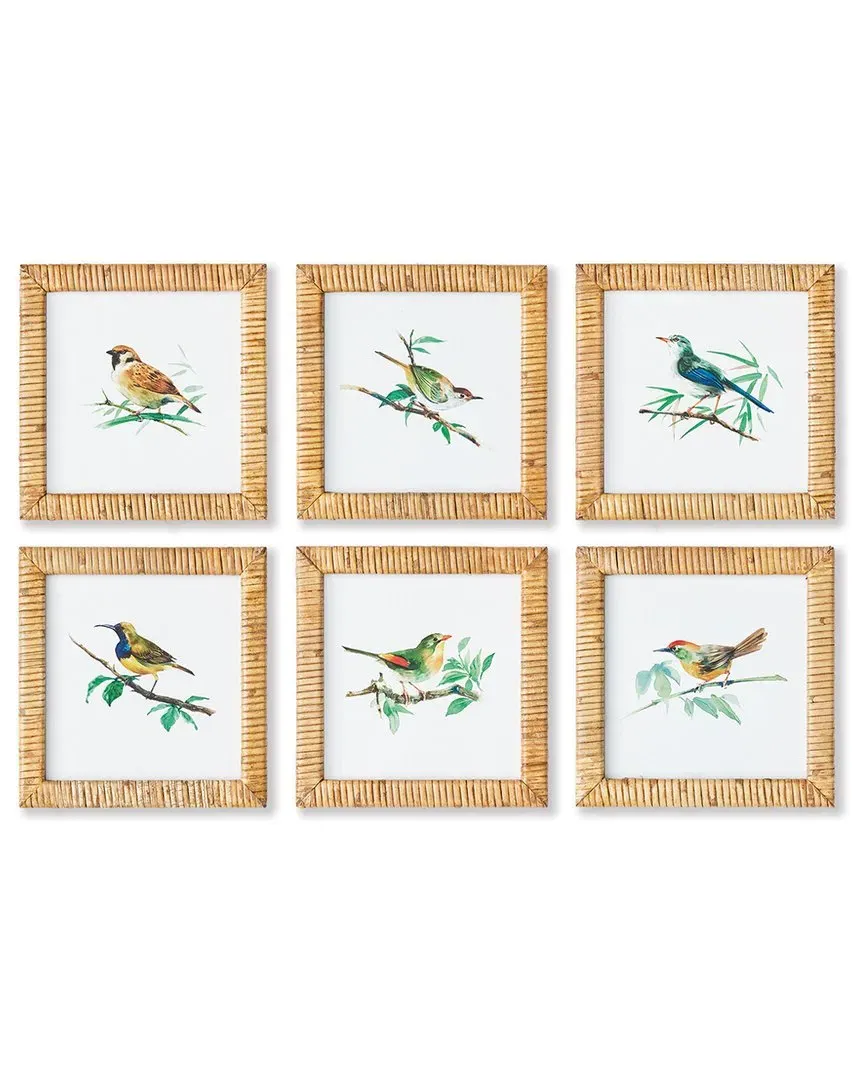 Set of 6 Songbird Petite Prints - Multi image