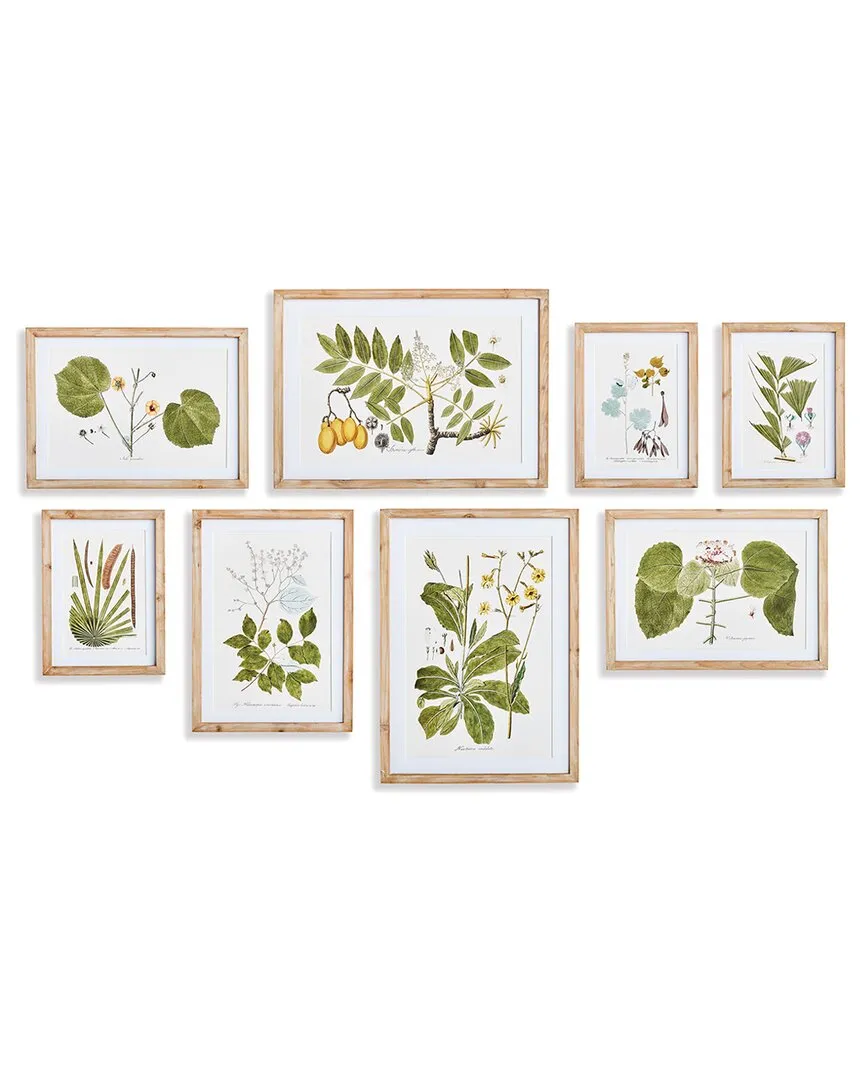 Set of 8 Flora & Fauna Gallery Prints - Natural