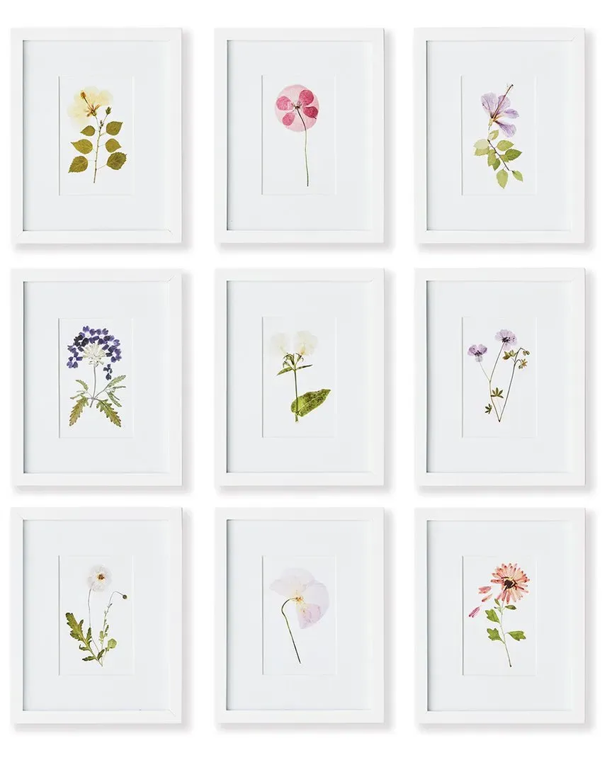 Set of 9 Mountain Flower Petite Prints with Mat - Multi image