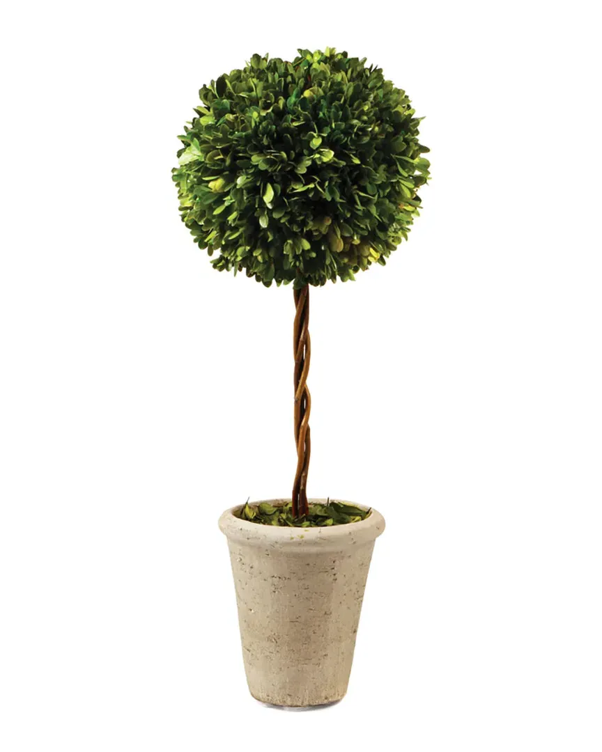 Single Ball Topiary - Green image