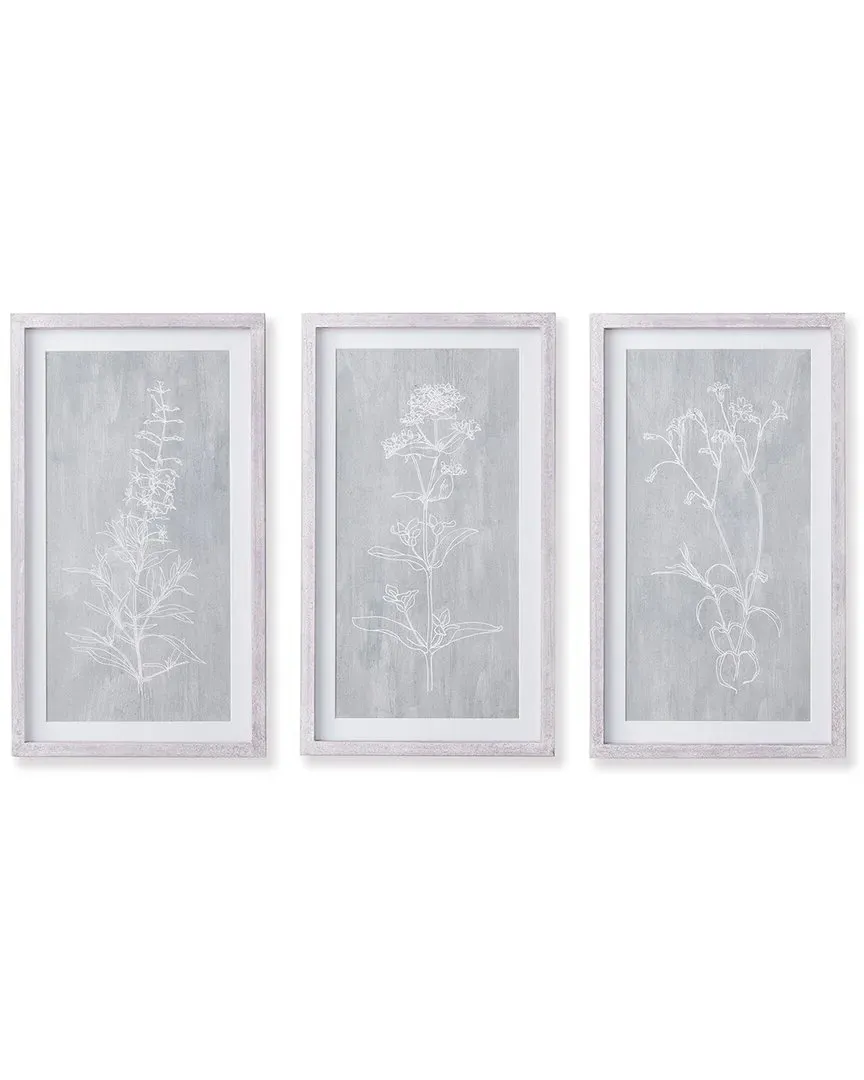Sketched Botanical Prints Set of 3 - Grey, Pine Wood image