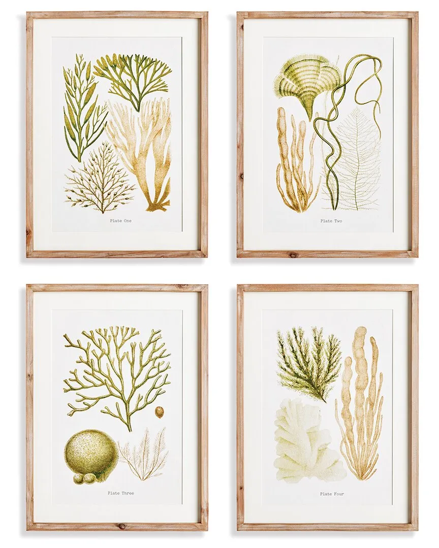 Verdant Coral Study Set of 4 Wall Art - Natural Green, Fir Wood