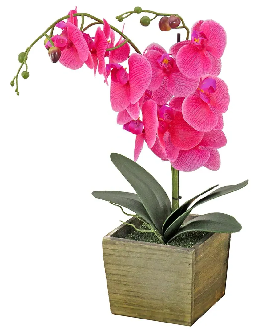 Orchid Flower Arrangement in Wood Box - Purple image