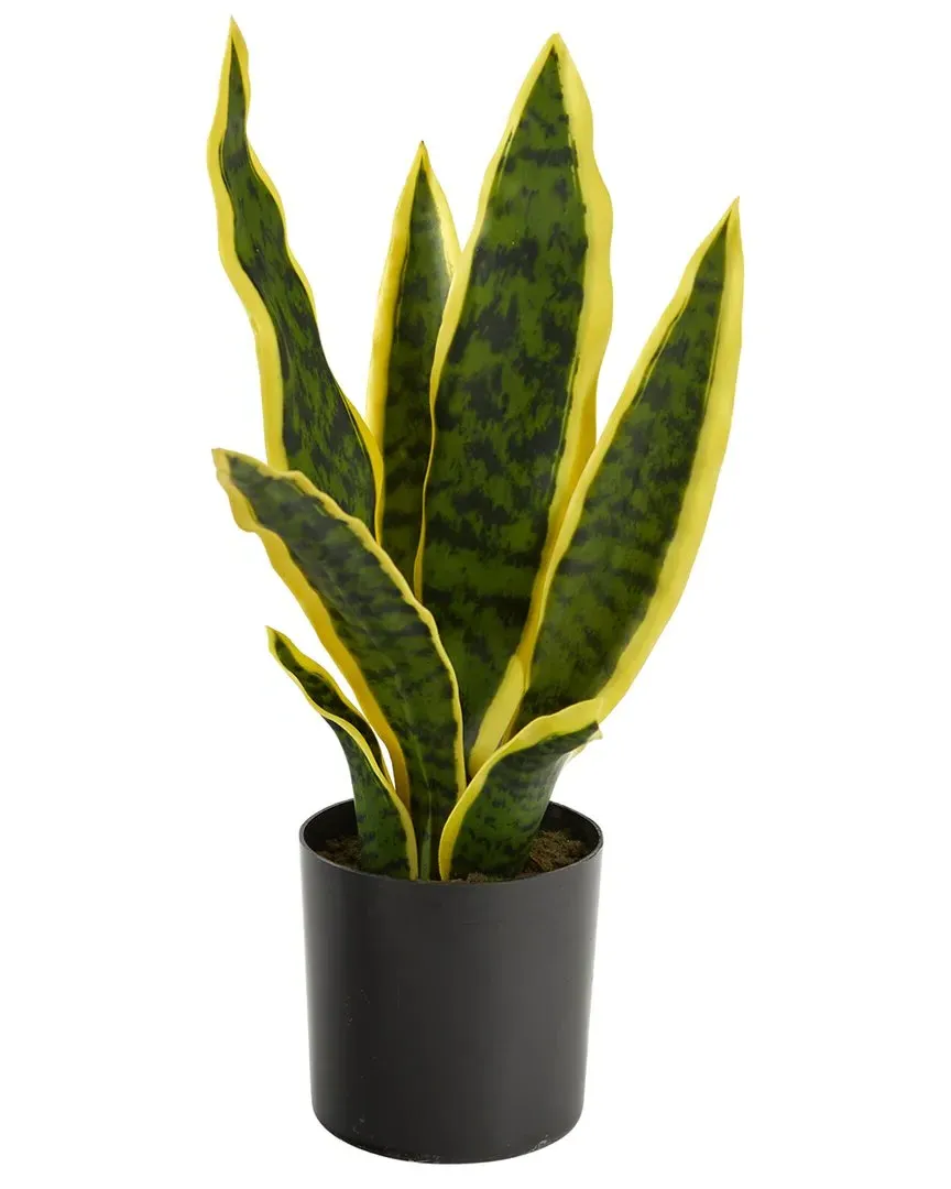 14in Sansevieria Artificial Plant - Green image