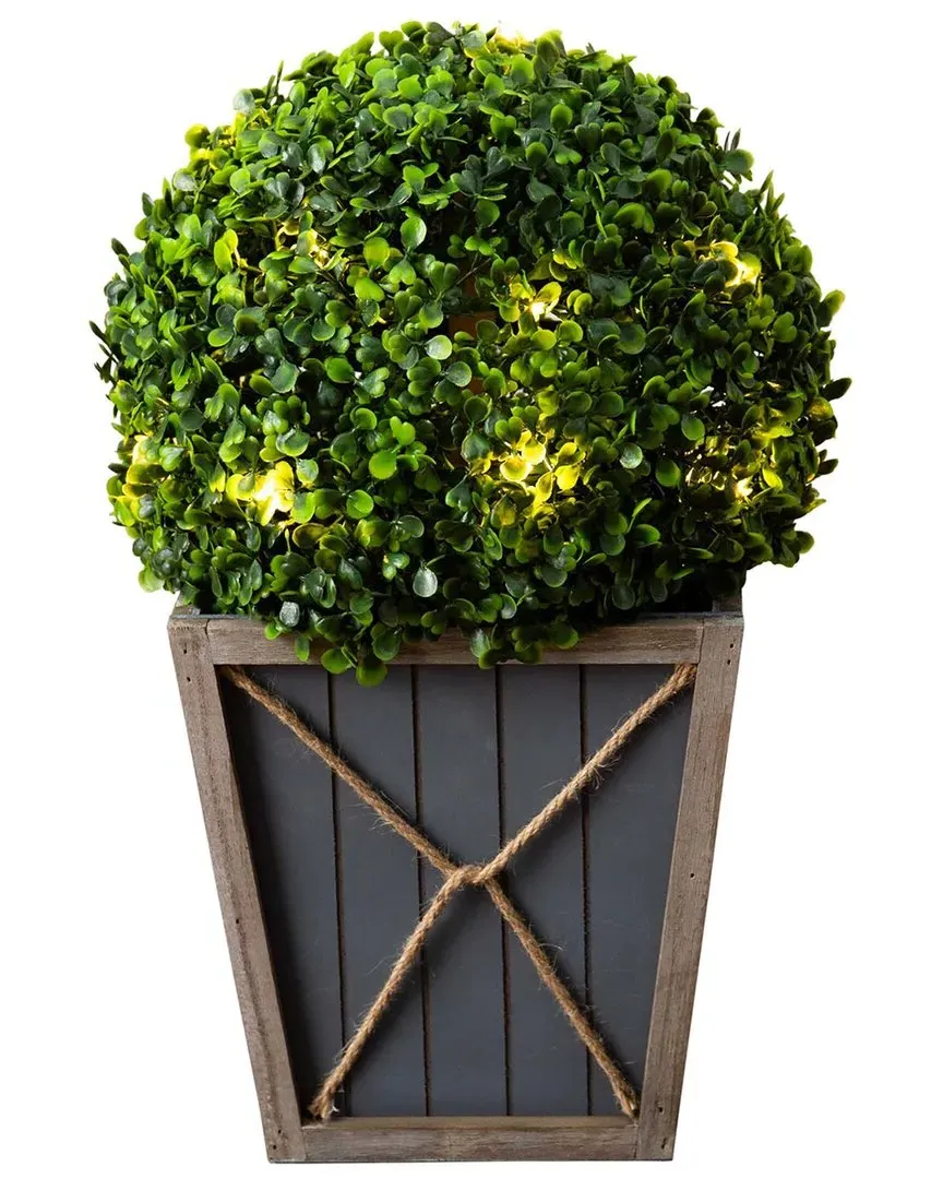 18in Artificial Boxwood Ball Topiary with LED Lights - Green