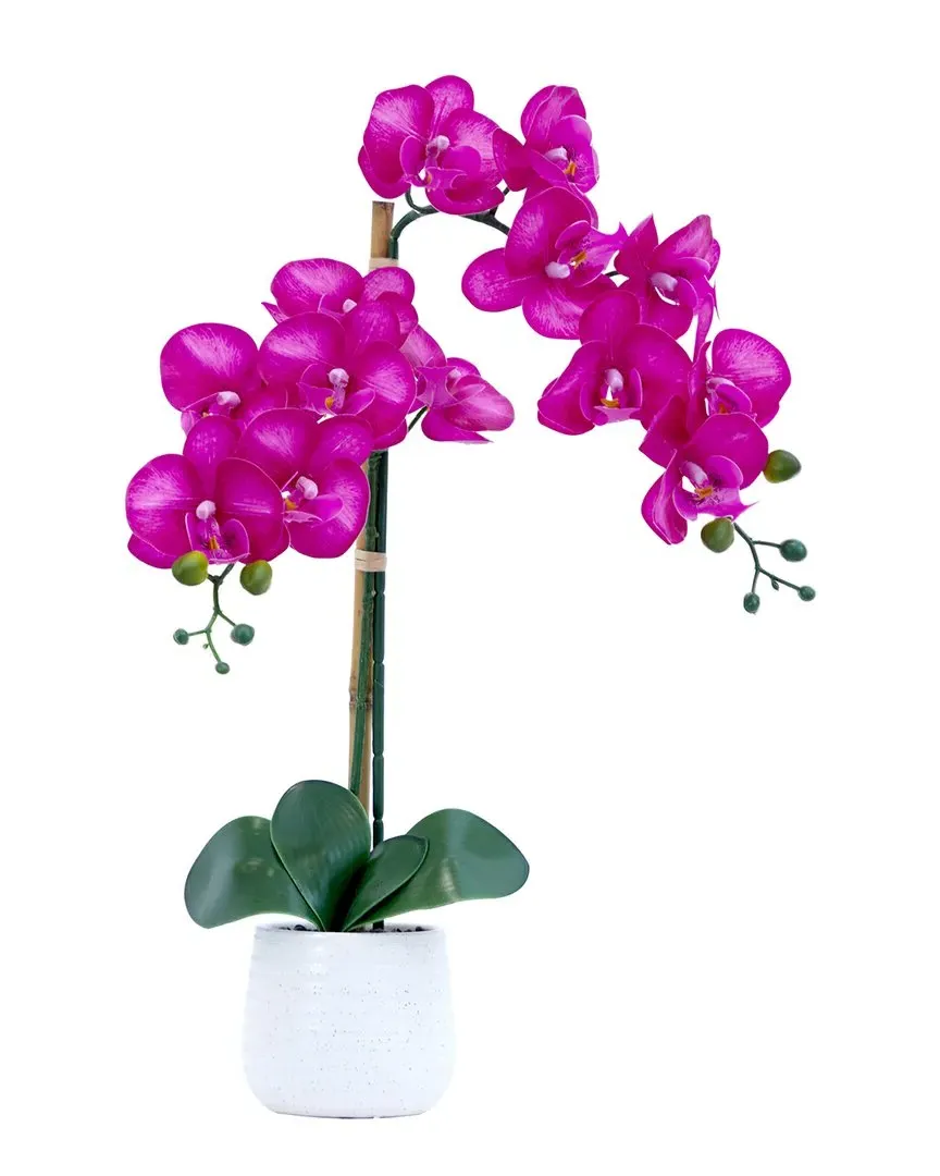 19in Artificial Orchid with Decorative Vase - Pink image