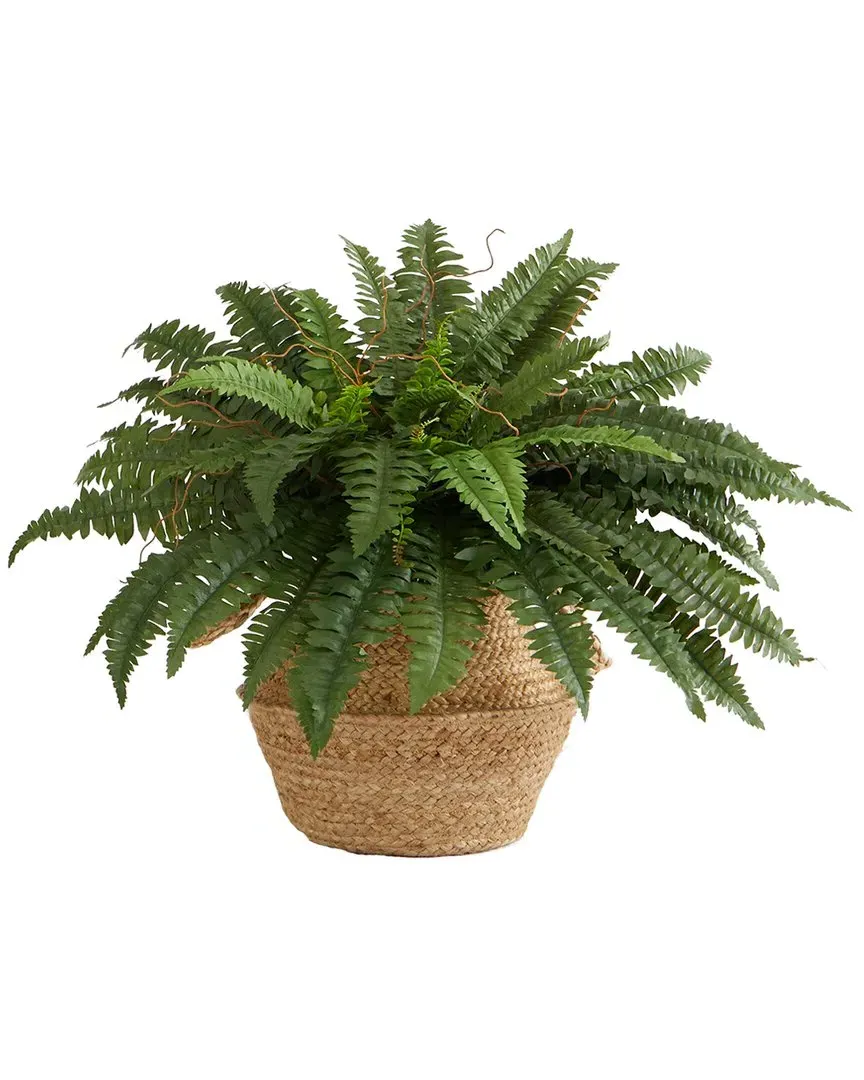 23in Artificial Boston Fern Plant with Handmade Basket - Green