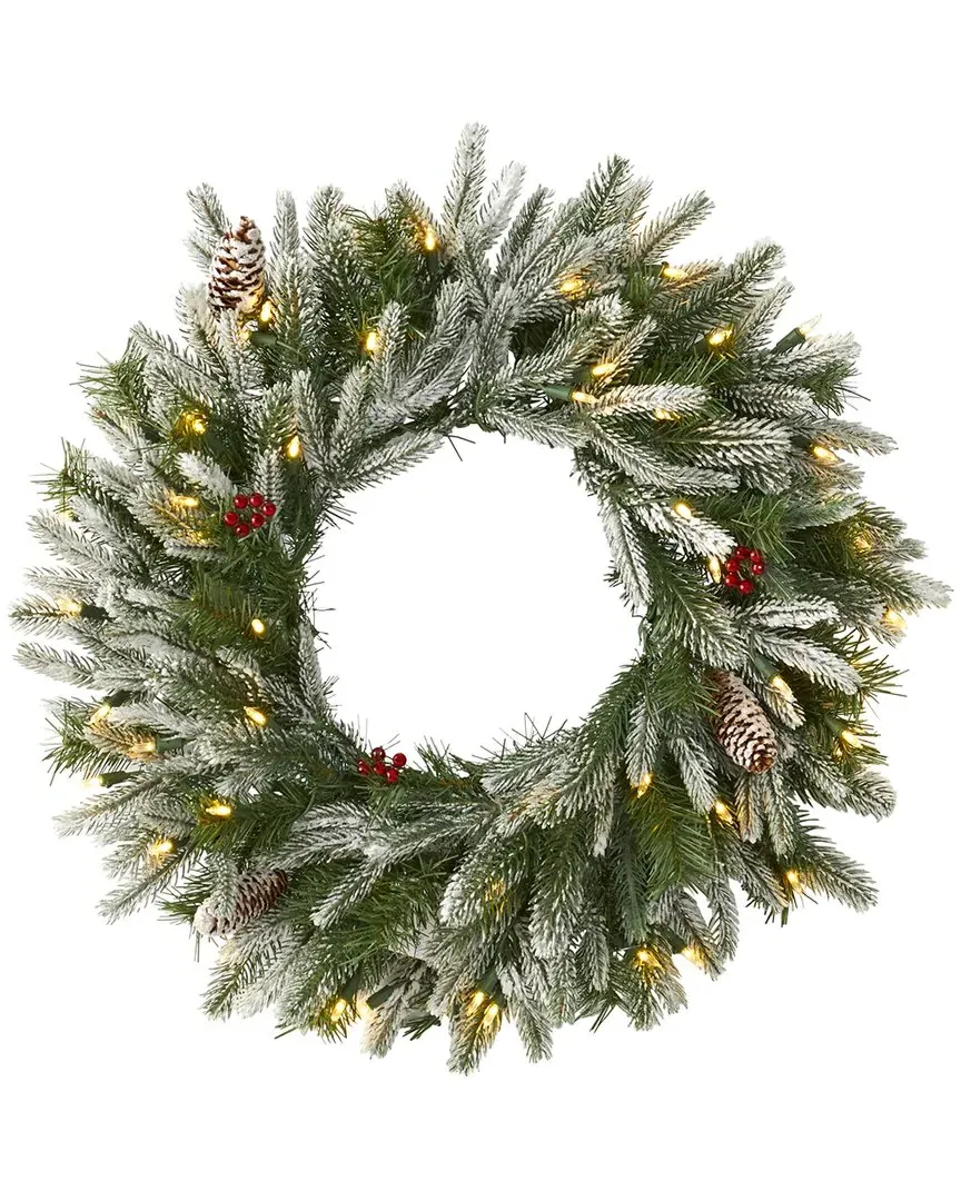 24in Snowed Artificial Christmas Wreath - Green