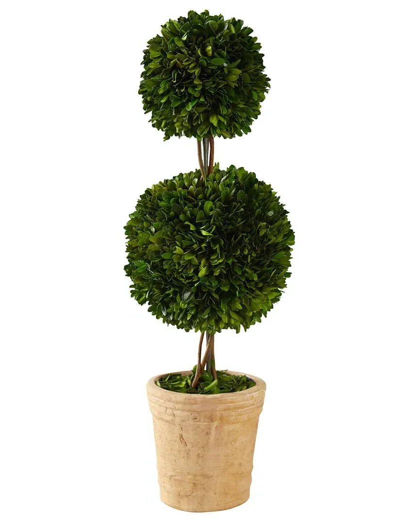 2.5ft Preserved Boxwood Double Ball Topiary Tree - Green image