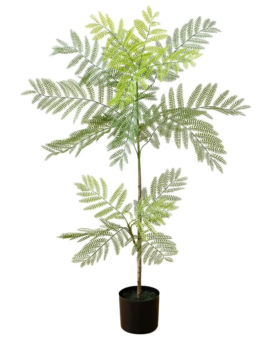 3.5ft Artificial Jacaranda Tree - Green image