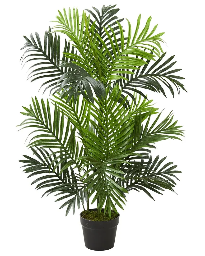 3ft Paradise Palm Artificial Tree - Green image